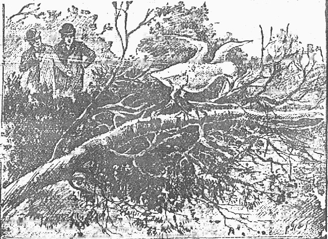 Martian Fighting Machine Downed in Surrey — War of the Worlds Victorian Illustration