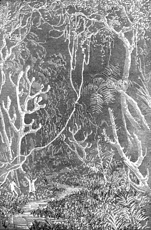 Explorer Dwarfed by Primeval Alien Jungle — Victorian Lost World Engraving