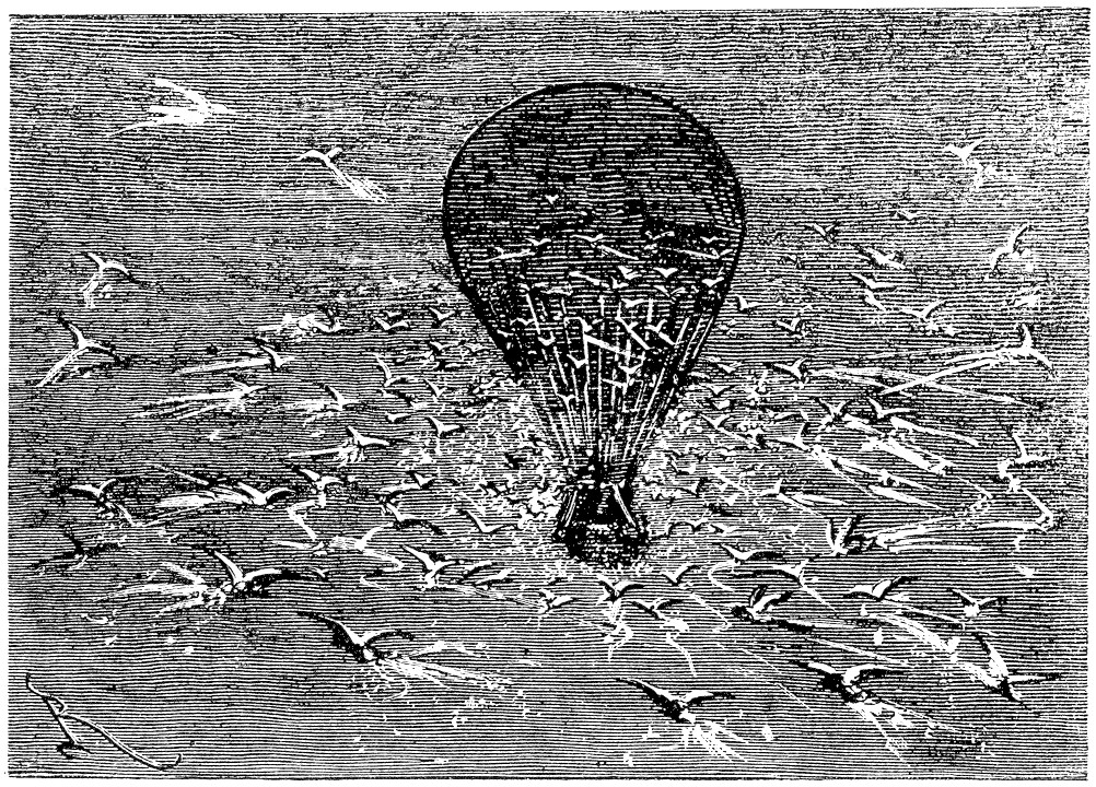 Jules Verne's Five Weeks in a Balloon — Seabird Swarm Engraving
