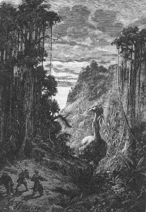 Giant Moa Encounter – Jules Verne's Mysterious Island Wood Engraving