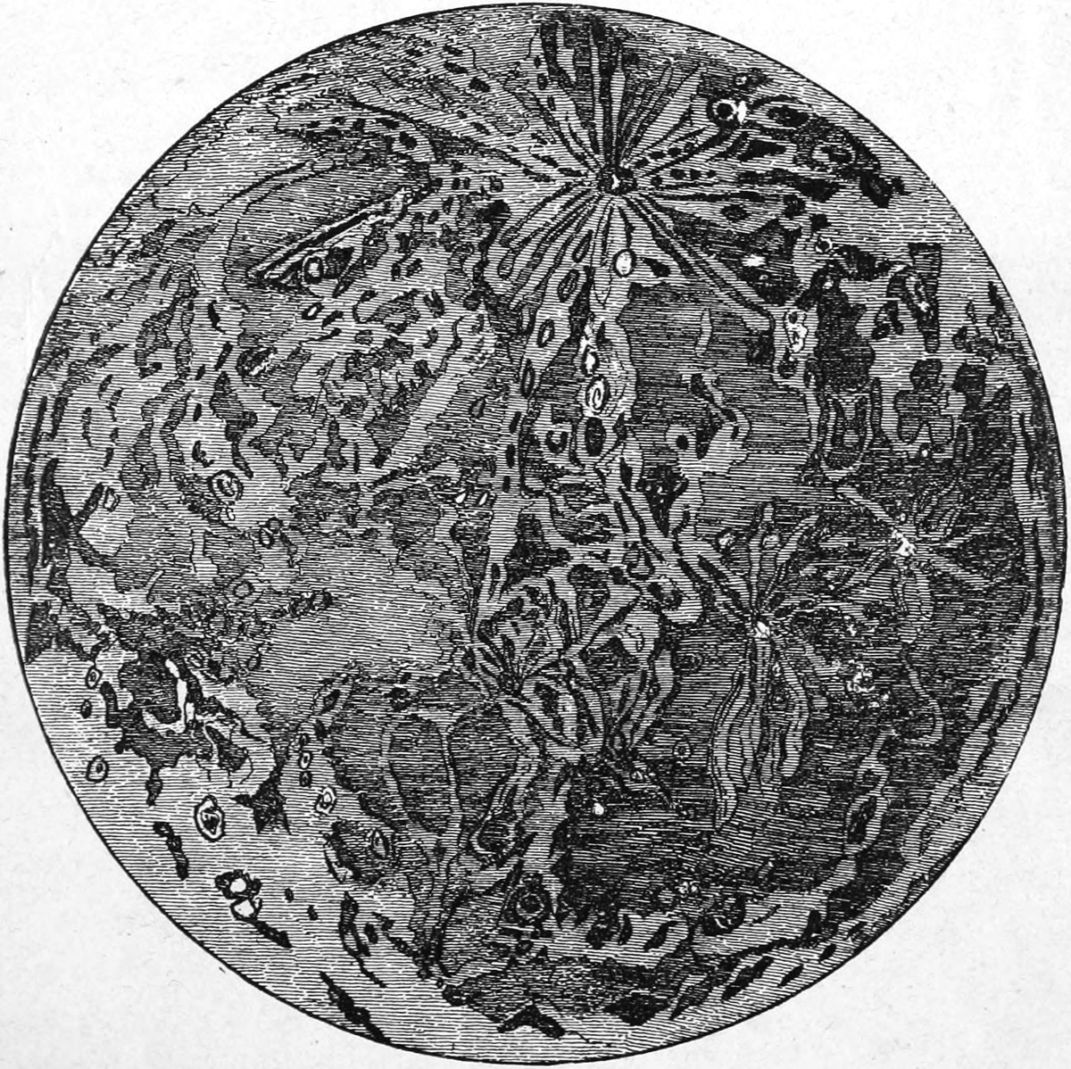 Victorian Moon Map Engraving: Telescopic Lunar Surface Circa 1870s