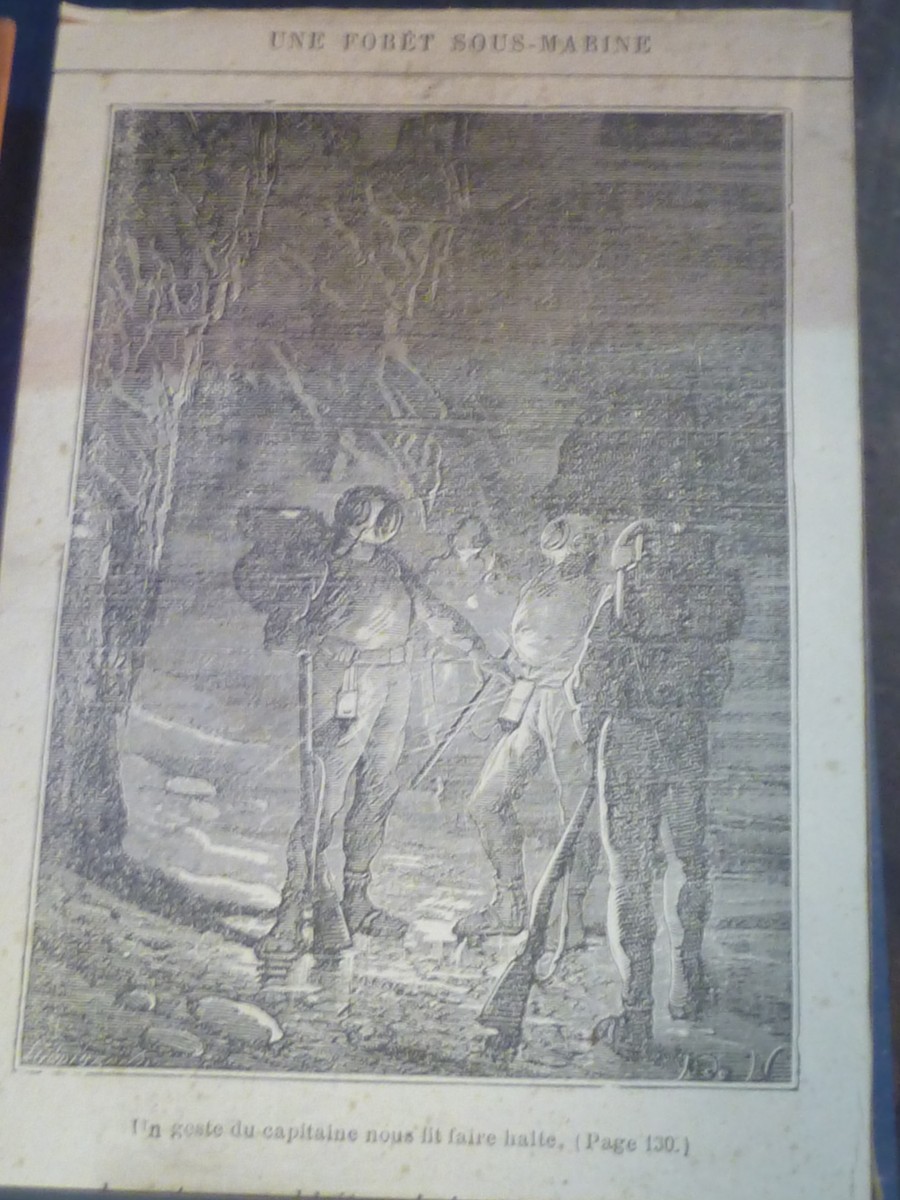 Verne's 20,000 Leagues: Divers Halt in Underwater Forest, c.1870s