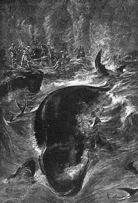 Jules Verne Sea Monster Attack — Victorian Engraving, 1860s-1870s
