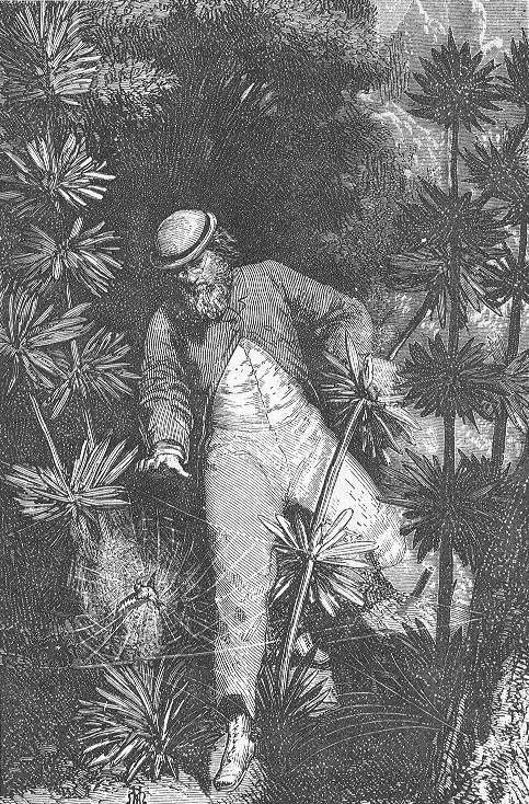 Jules Verne's From the Earth to the Moon – Henri de Montaut Engraving