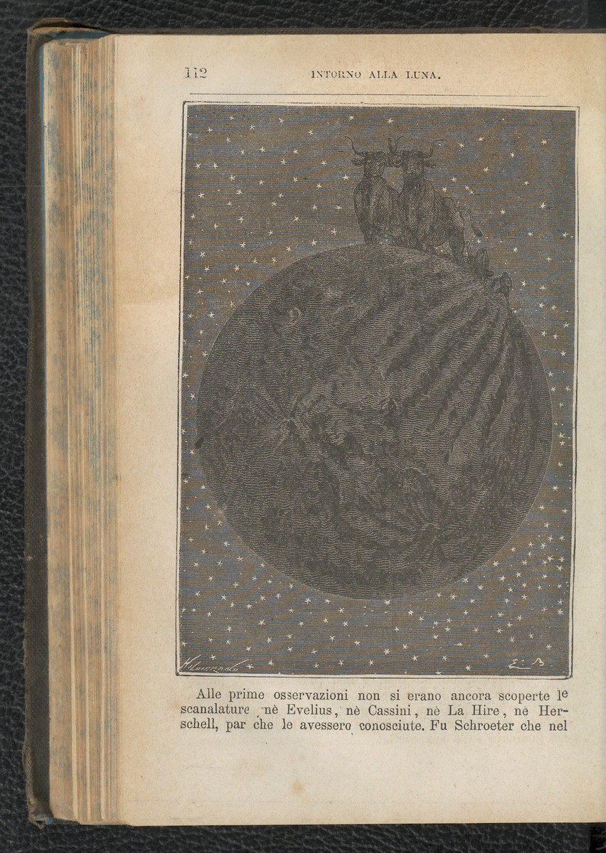 Cattle on the Moon — Flammarion's 'Autour de la Lune' Italian Edition, c.1870s