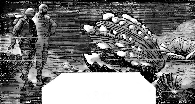 Victorian Deep-Sea Divers Encounter Giant Sea Creature, Jules Verne Era