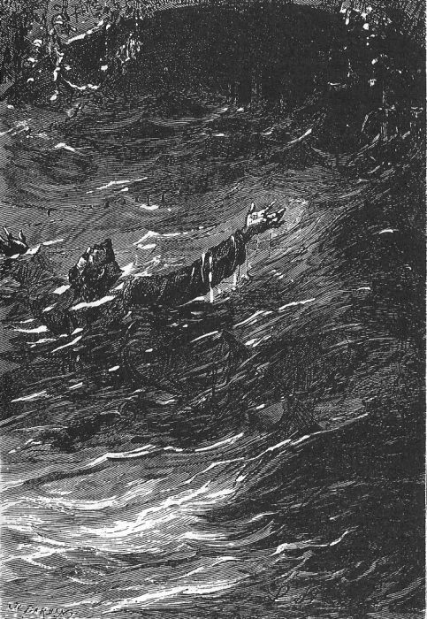 Shipwreck in Stormy Seas – Léon Benett, The Begum's Fortune (Jules Verne)