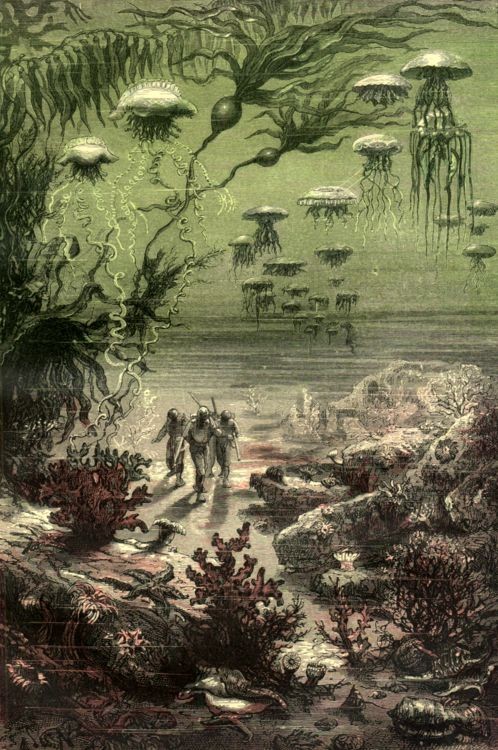 Divers Walk the Ocean Floor Among Jellyfish — Verne's 20,000 Leagues