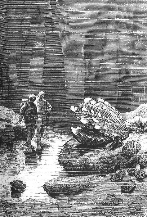 Jules Verne's 20,000 Leagues: Divers Among Giant Mollusks, Riou 1870