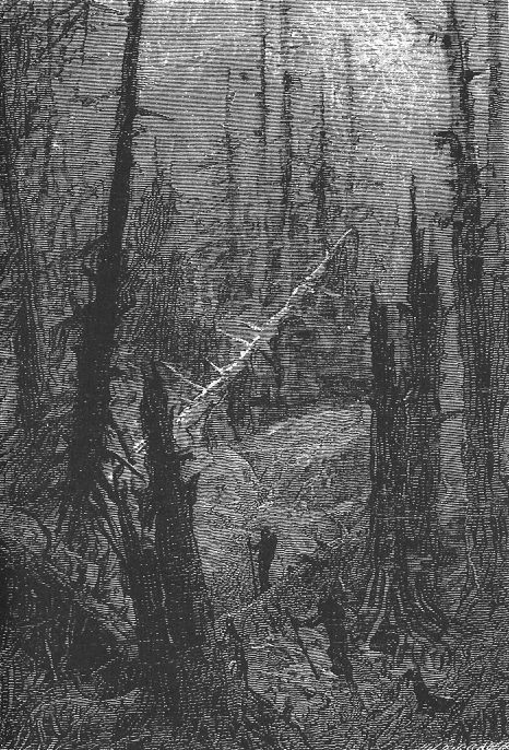 Neuville & Riou's Sunken Forest, Twenty Thousand Leagues Under the Sea 1870