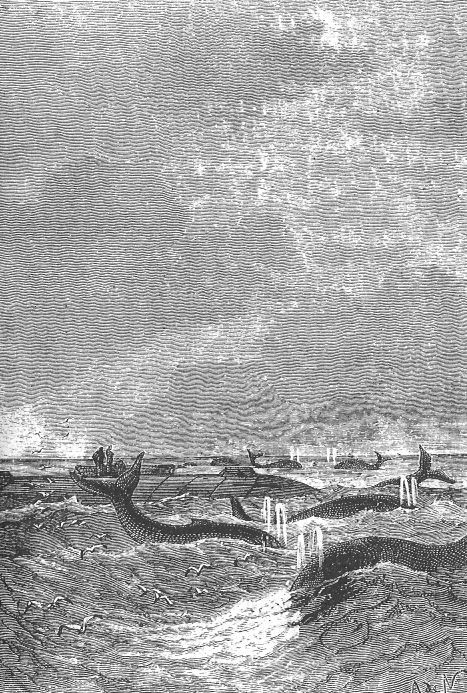 Sea Serpents Attack — Neuville & Riou, 20,000 Leagues Under the Sea