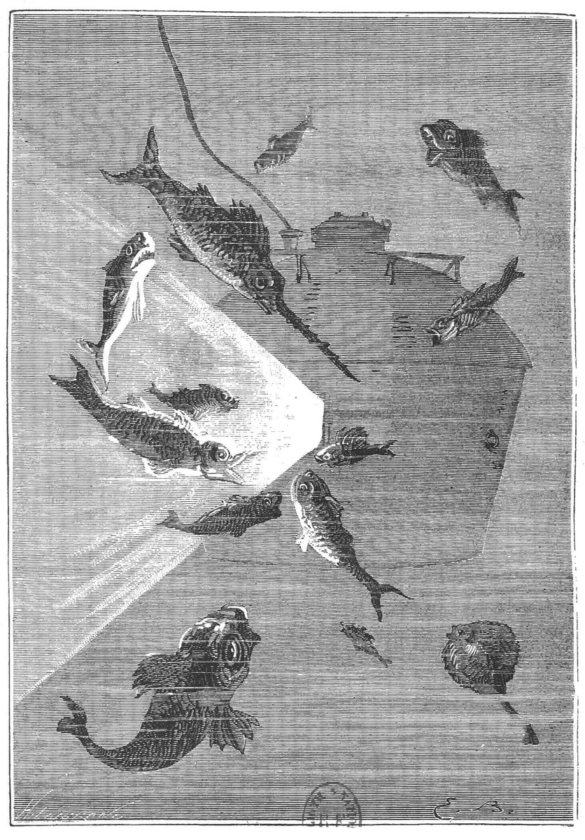 Jules Verne 'Autour de la Lune' Underwater Scene – Diver & Fish, c.1870