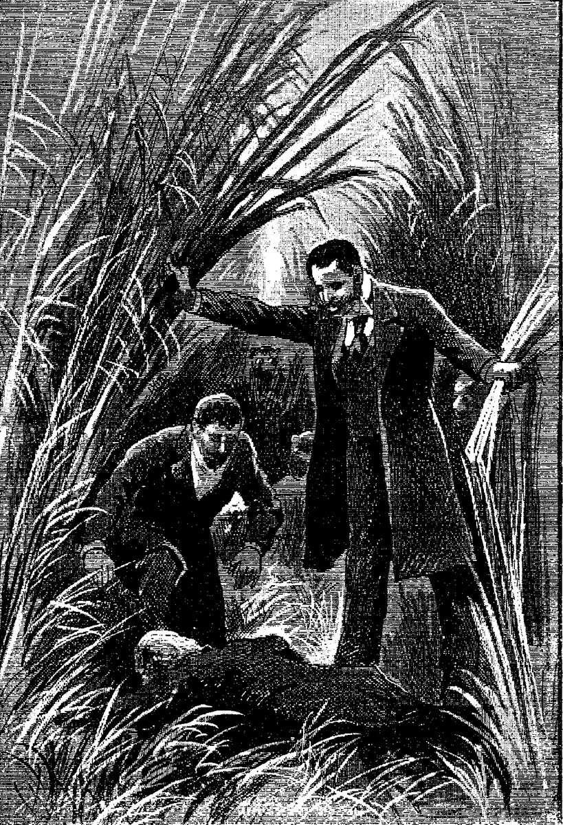 Men Dwarfed by Giant Vegetation — Victorian Sci-Fi Engraving c.1904