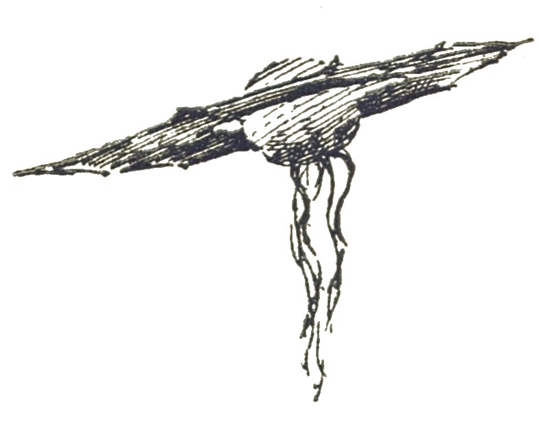 Martian Flying-Machine, H.G. Wells War of the Worlds 1906 French Edition