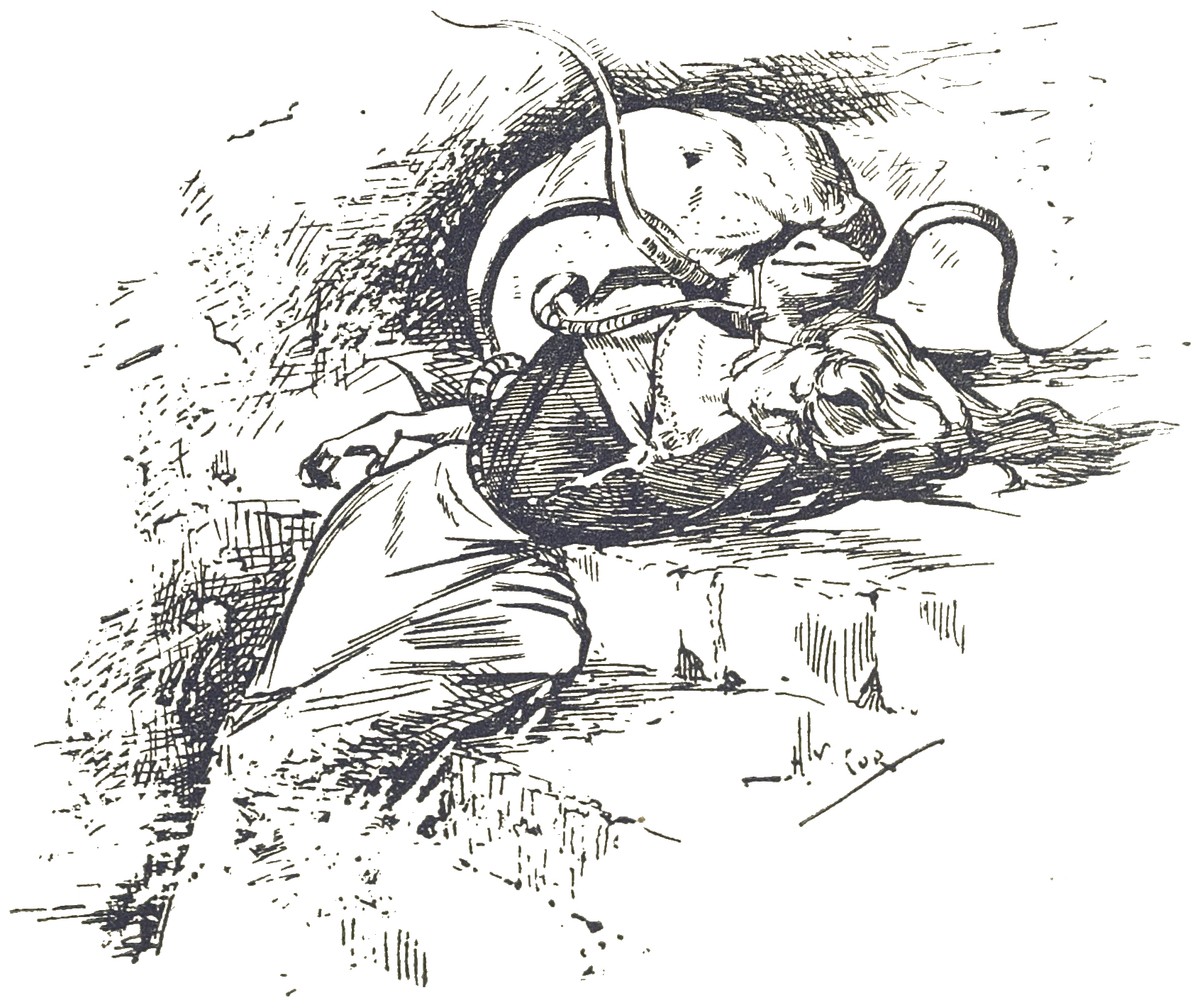 Martian Attacks Human – H.G. Wells War of the Worlds 1906 French Edition