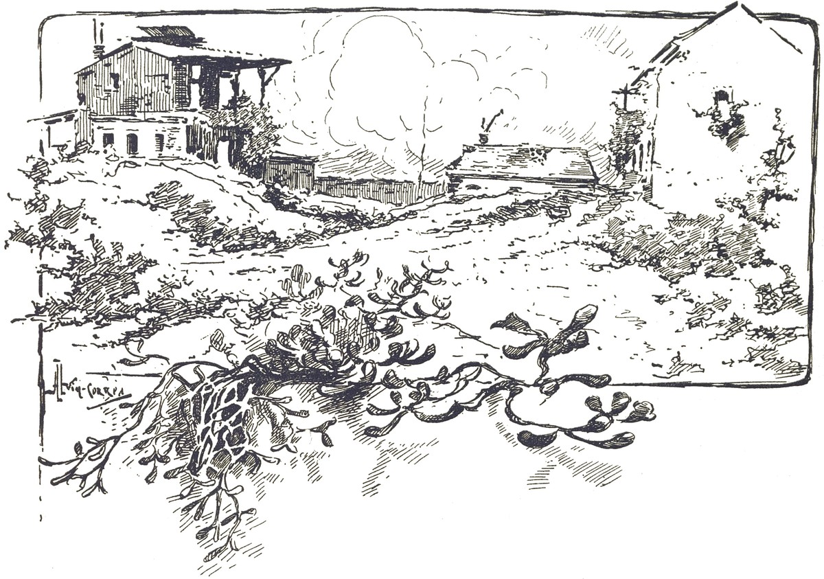 Henrique Alvim Corrêa's Martian Red Weed Spreads, War of the Worlds 1906