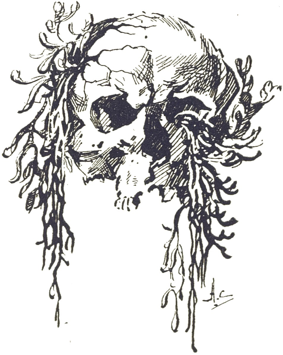 Alien Vegetation Engulfs Human Skull — H.G. Wells War of the Worlds 1906