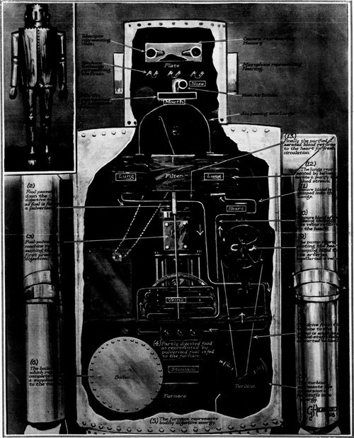 Mechanical Man Anatomy Diagram: Robot as Human Body Analogy, c.1930s