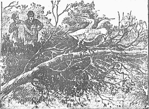 Martian Fighting Machine Downed in Surrey — War of the Worlds Victorian Illustration