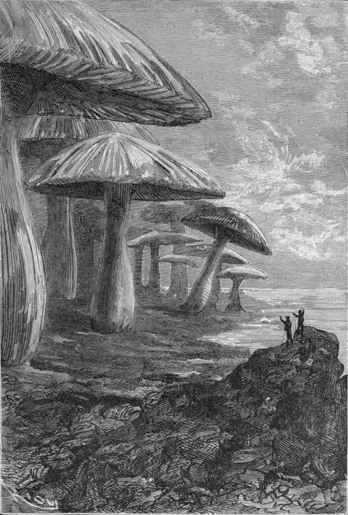 Giant Mushroom Forest — Édouard Riou's Journey to the Center of the Earth, 1864