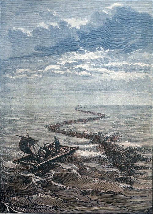 Jules Verne Sea Serpent Encounter — Riou Engraving, 1870s