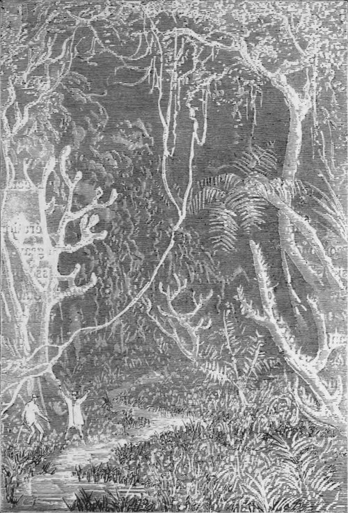 Giant Alien Flora Dwarfs Terrified Explorers — Victorian Lost World Engraving