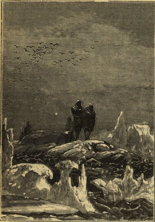 Jules Verne Arctic Survivors on Ice Floe, Victorian Engraving 1870s