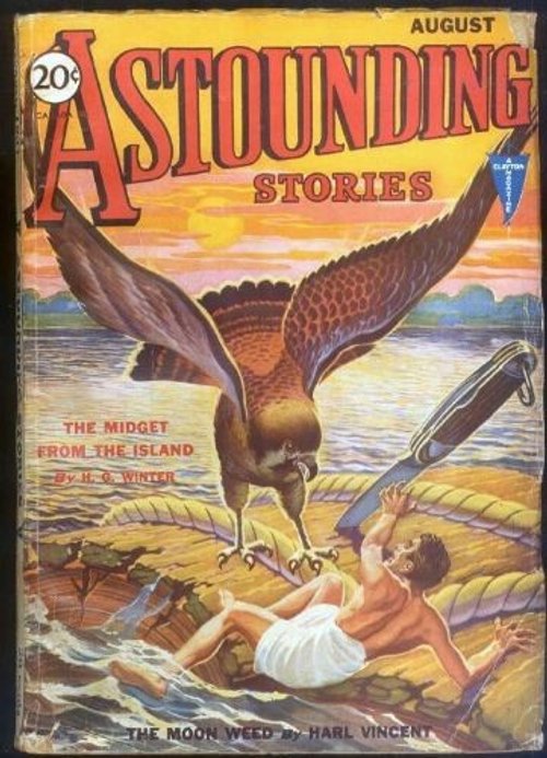 Giant Hawk Attacks Raft Survivor – Astounding Stories August 1931