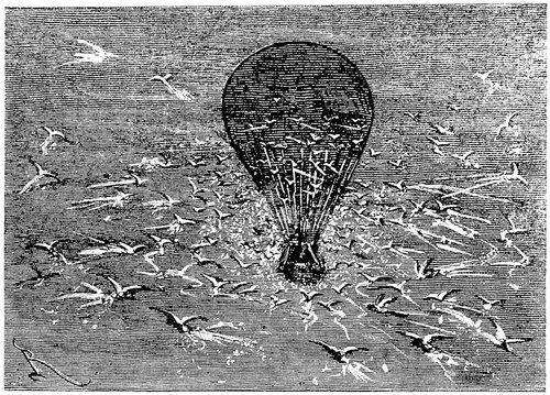 Jules Verne's Five Weeks in a Balloon — Seabird Swarm Engraving