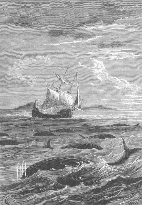 Sea Serpents Encircle a Sailing Ship — Verne-Era Engraving, c.1870s