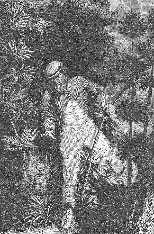 Jules Verne's From the Earth to the Moon – Henri de Montaut Engraving