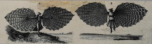 Victorian Bat-Wing Flying Apparatus — Human Flight Experiment Diagrams, c.1860s