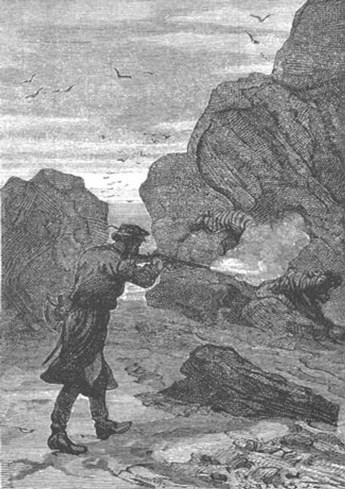 Jules Verne Mysterious Island: Man Fires Rifle on Rocky Shore, 1870s Engraving