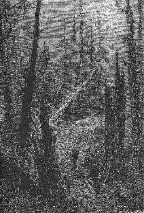 Neuville & Riou's Sunken Forest, Twenty Thousand Leagues Under the Sea 1870