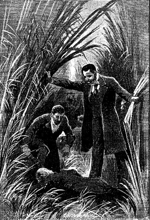 Men Dwarfed by Giant Vegetation — Victorian Sci-Fi Engraving c.1904