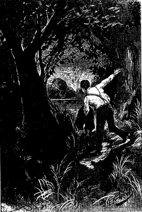 Explorer Confronts Mysterious Light in Jungle — Verne-Era Engraving c.1904