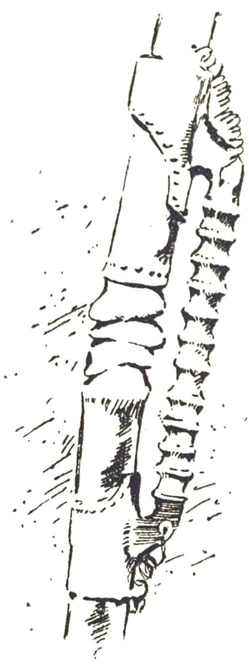 Martian Tripod Leg Detail, H.G. Wells War of the Worlds 1906 French Edition