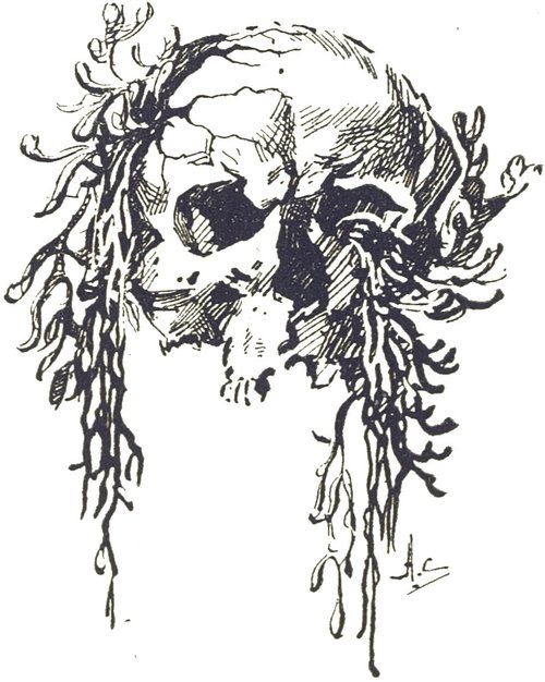 Alien Vegetation Engulfs Human Skull — H.G. Wells War of the Worlds 1906